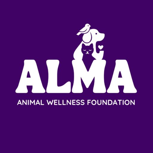 Alma Foundation