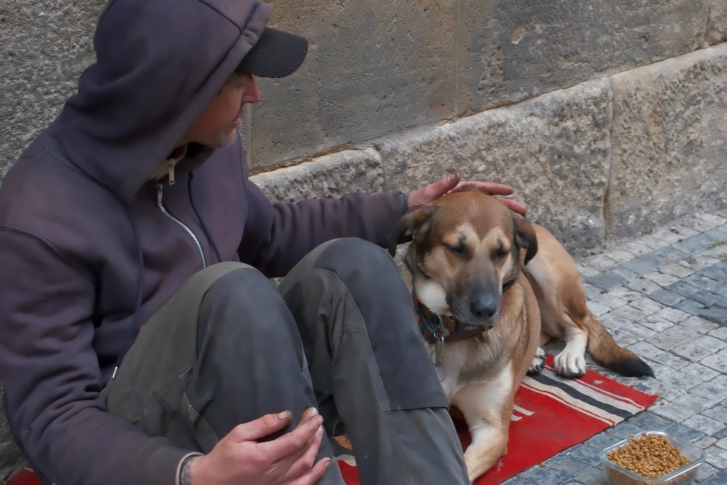 Creating a Culture of Respect for Animals